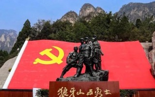 西部数码域名注册，性价比与服务的双重考量