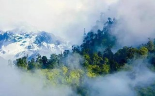 纵然云雾绕山，仍需勇往直前
