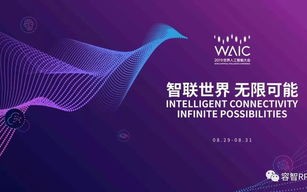 世通网络科技，引领未来数字化时代的创新实践者