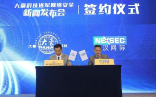 大煌网络，通往未来的互联网巨擘