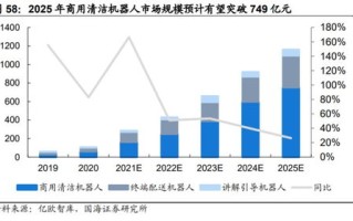 淄博齐赛智网的可信度与技术实力研究，稳定性分析与发展前景展望