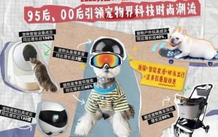 猫云，重构数字时代的宠物养护新生态