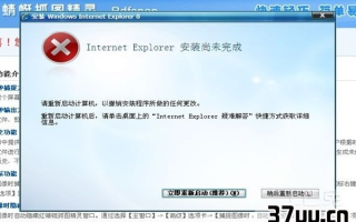 GhostXP重装IE8后无法解析域名，请大虾指点