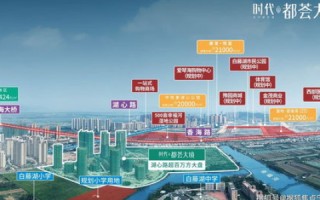 天兴互联，数字化时代的智慧桥梁