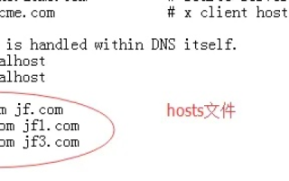 如何绕过Host文件设置DNS以访问特定网站域名