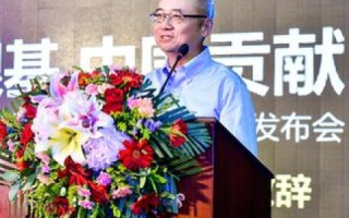 解析政府部门网站的域名代码规定，构建信任与透明的数字治理平台