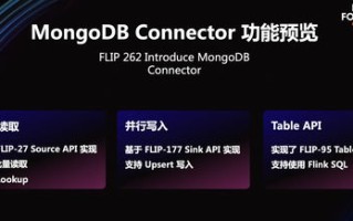 楠羽网络，探索新兴数字世界的领航者