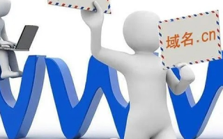 顶级域名，政府部门的关键选择