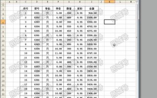探索Word 2003中的插入域，域名是中文还是英文？