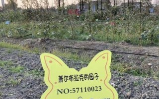 三百云，开启云端服务新纪元，重塑企业智慧运营蓝图