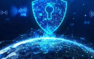 域名官方认证，保障网络安全的基石