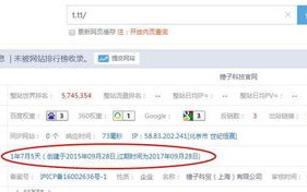 后缀tt的域名是什么意思