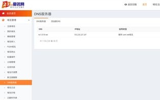 如何在新网设置域名DNS地址