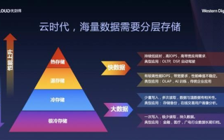 西拓数据的数字化探索，为企业赋能的科技先锋