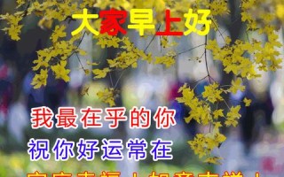 飞翔网络，打造数字世界的强力双翼