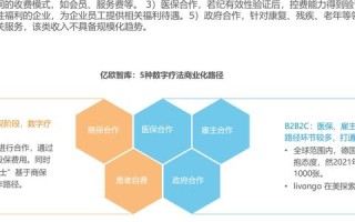 中国频道官网，洞察数字时代的文化趋势与策略转型