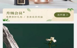 茶猫云使用心得，一站式茶器选品与管理神器