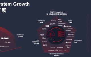 深度解析龙心数据评测，揭示高效数据处理的核心秘密