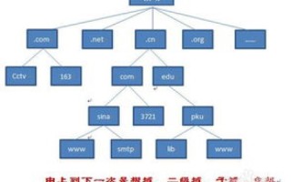 如何利用本地DNS服务器对域名进行逐级解析