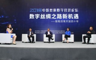 重塑数字生活，探索人民互联官网的创新实践与社会影响