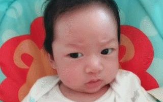 深入评测，凑点网络是否真正满足用户需求？