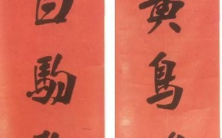 河北网跃科技的崛起之路，科技引领未来，创新铸就辉煌