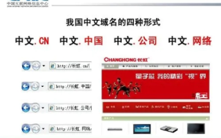 表示中国的域名是，中国