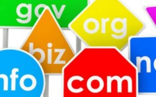 如何检查网站域名使用年限，深度解析与实用指南