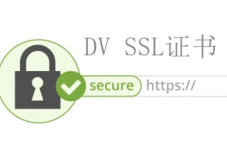 申请SSL证书，全面指南与DNS域名验证操作详解