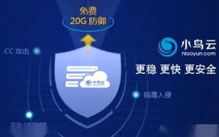 准备买台小鸟云服务器，选哪个地区比较好？