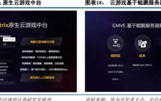 探索蒙鸟云的实战应用，用户体验、功能与效果全面解析