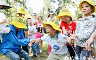 智恩特互联使用体验，探索高效办公与智能化的新境界