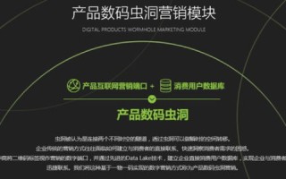 德迅网络，打造数字时代的高效连接者