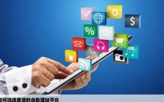 自建网站与平台建站，选择之路的考量