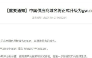 中国能否使用.sh域名的深度解析