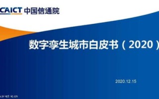 领跑数字时代，中国领发数据的应用实践及其影响
