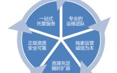 云主机与主机租用托管，新手入行的明智选择