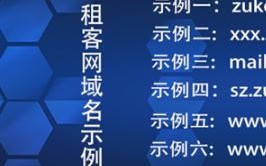 什么叫2级域名？深入解析与实际应用