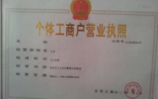 域名注册，个人信息与营业执照的适用性分析