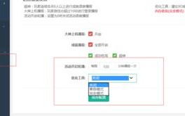 DZ论坛个人空间二级域名功能启用体验与优化建议