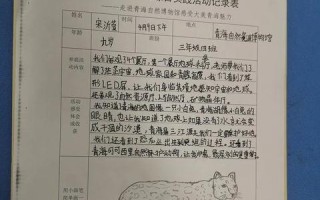 核心科技，从理论到实践，探索技术应用的无限可能