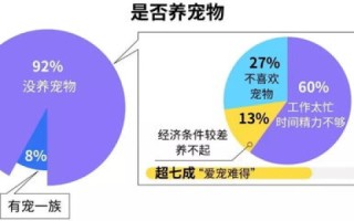 从租客角度看，网络覆盖与体验的全面解析