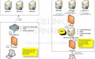 请写出WEB服务器、网站域名、IP地址、DNS服务器之间的关系
