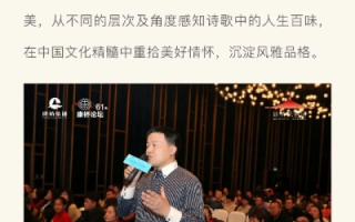 诗宣网络，解锁数字时代下的诗意传播新篇章