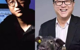 世纪网络评测，深度探索互联网时代的佼佼者