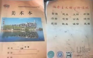 访问IP却显示域名过期，探索背后的原因与解决方案