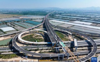 中国诚网，构建数字化时代的诚信桥梁