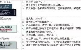 IP地址与域名的奥秘，探索数字背后的网络世界