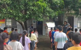 中申网评测，深度解析网络教育平台的发展与优势