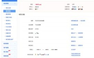 域名解析的灵活性，NS服务器能否设置为不同DNS服务商？